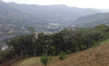 Venta gran Lote, La cruz, Copacabana Antioquia.