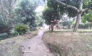 Venta hermosa Casa Finca, Vereda Quebrada Arriba, Copacabana Antioquia.