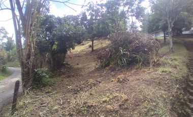 Venta hermosa Casa Finca, Vereda Quebrada Arriba, Copacabana Antioquia.