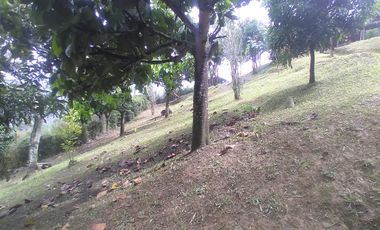 Venta hermosa Casa Finca, Vereda Quebrada Arriba, Copacabana Antioquia.