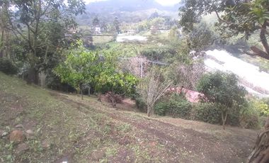 Venta hermosa Casa Finca, Vereda Quebrada Arriba, Copacabana Antioquia.