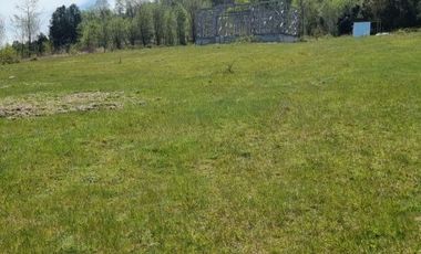 VILLARRICA Calfutue camino a Lican Ray parcela 5.500m2 COD.VTAP210