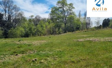 VILLARRICA Calfutue camino a Lican Ray parcela 5.500m2 COD.VTAP210