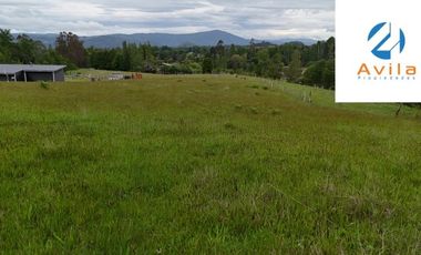 VILLARRICA Calfutue camino a Lican Ray parcela 5.500m2 COD.VTAP210