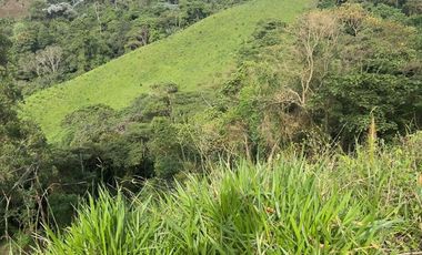 Venta de Finca Ganadera en Marsella Risaralda
