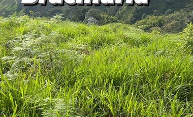 Venta de Finca Ganadera en Marsella Risaralda