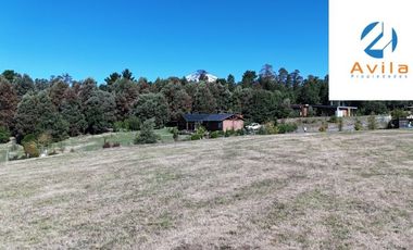 Villarrica Loncotraro Condominio Canto del Estero venta parcela 5.000m2 COD.VTAP207