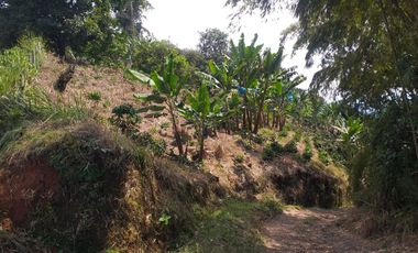 Venta hermosa Finca Tecnificada via Marsella Risaralda