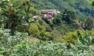 Venta hermosa Finca Tecnificada via Marsella Risaralda