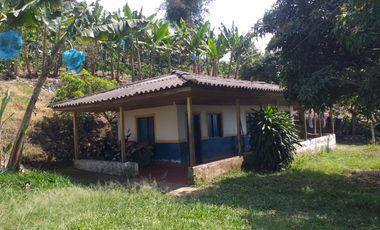 Venta hermosa Finca Tecnificada via Marsella Risaralda