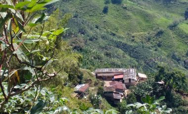 Venta hermosa Finca Tecnificada via Marsella Risaralda