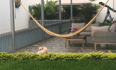 Vvienda En Venta Lomas De San Pedro