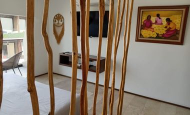 TU LUGAR EN PLAYA DEL CARMEN ESTUDIO PH EN VENTA