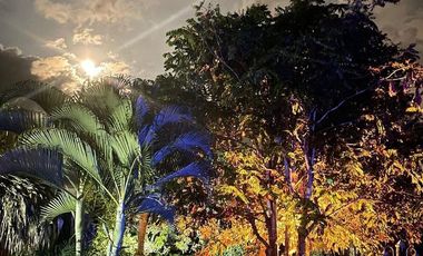Venta Finca ideal para rentas cortas en Combia Pereira