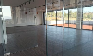 Departamento de Lujo en Renta en Altozano