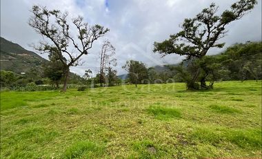 (C-401) CASA DE VENTA EN PAUTE SECTOR EL CABO – 7 DORMITORIOS CON 15500M2* DE TERRENO