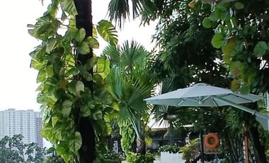 For Rent Apartment Studio Skandinavia Tangerang City, Brand New Furnished - Lake View