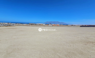 Arriendo terreno de 7.000 Metros cuadrados