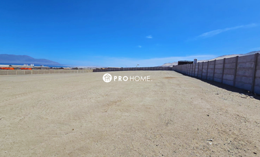 Arriendo terreno de 7.000 Metros cuadrados
