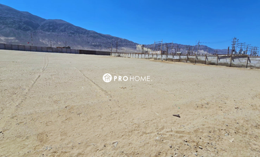 Arriendo terreno de 7.000 Metros cuadrados
