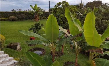 Venta Casa campestre Morelia Betulia