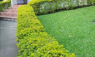 Venta Casa campestre Morelia Betulia