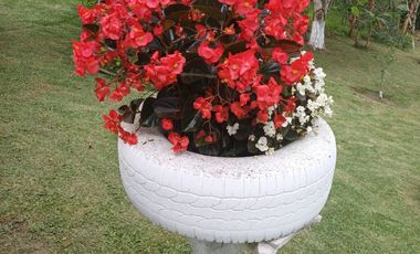 Venta Casa campestre Morelia Betulia