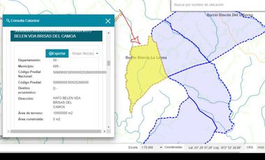 Venta Finca Ganadera en San Martin Meta