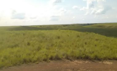 Venta Finca Ganadera en San Martin Meta