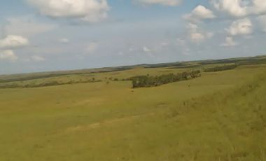 Venta Finca Ganadera en San Martin Meta