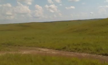 Venta Finca Ganadera en San Martin Meta