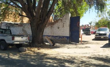 Terreno 1 en Renta en Ventura Anaya