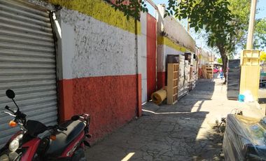 Terreno 3 en Renta en Esteban Alatorre