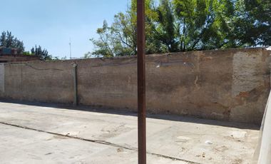 Terreno 3 en Renta en Esteban Alatorre