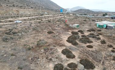 VENTA PARCELA 5.000m2 Estancia El Arrayan Costero de las Cias lote 1WF-30-1 cerca ruta 5 norte