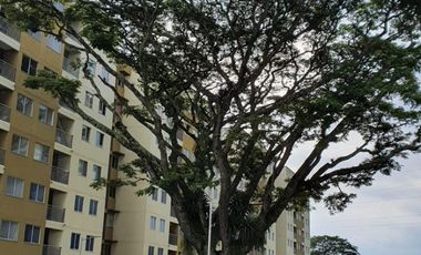 APARTAMENTO EN VENTA, PASEO DE PANGOLA, JAMUNDI