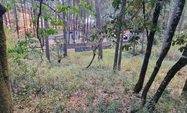 TERRENO CON ENTORNO DE BOSQUE EN VENTA.