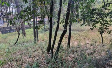 TERRENO CON ENTORNO DE BOSQUE EN VENTA.
