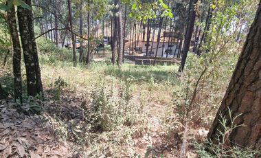 TERRENO CON ENTORNO DE BOSQUE EN VENTA.