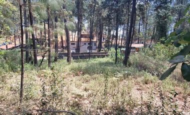 TERRENO CON ENTORNO DE BOSQUE EN VENTA.