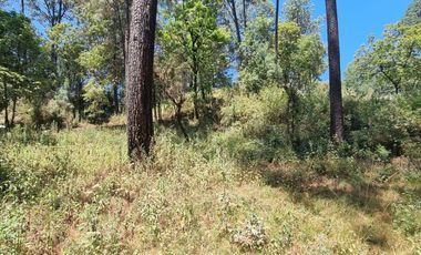 TERRENO CON ENTORNO DE BOSQUE EN VENTA.