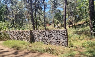 TERRENO CON ENTORNO DE BOSQUE EN VENTA.