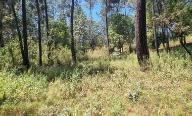 TERRENO CON ENTORNO DE BOSQUE EN VENTA.