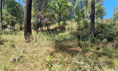 TERRENO CON ENTORNO DE BOSQUE EN VENTA.