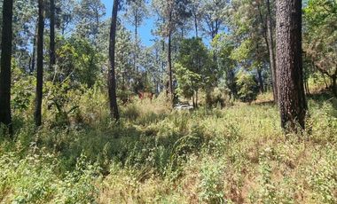 TERRENO CON ENTORNO DE BOSQUE EN VENTA.