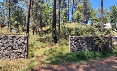 TERRENO CON ENTORNO DE BOSQUE EN VENTA.