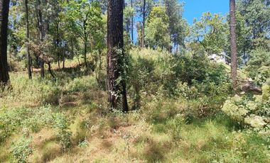 TERRENO CON ENTORNO DE BOSQUE EN VENTA.