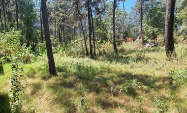 TERRENO CON ENTORNO DE BOSQUE EN VENTA.