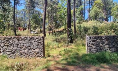TERRENO CON ENTORNO DE BOSQUE EN VENTA.