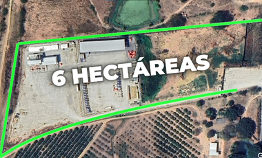 Terreno agricola en alquiler en Via a la Costa Km41